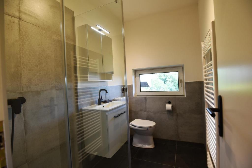 Badezimmer mit Dusche und Fenster